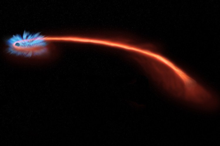 black hole swallowed a star